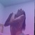 Daniela Correa avatar