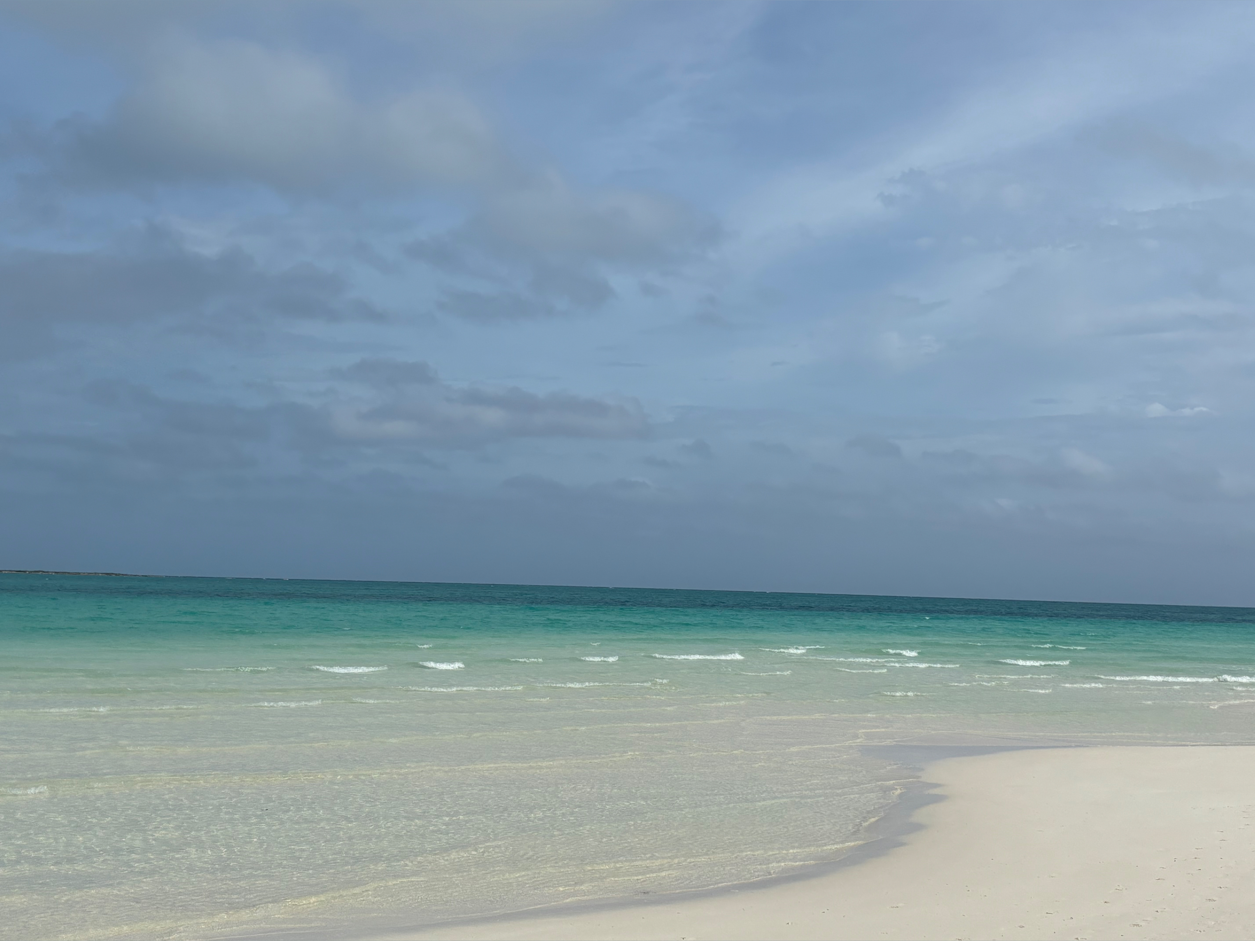 Lana Vale banner image