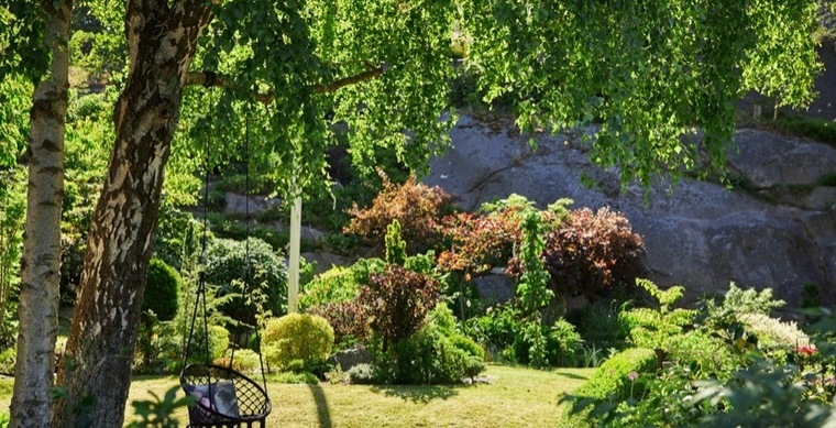 Alicia Andersson banner image