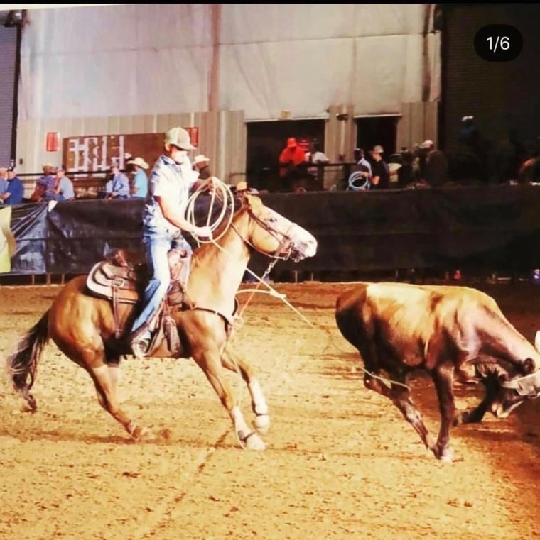ItalianCowboy cover image