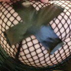 S&amp;M avatar