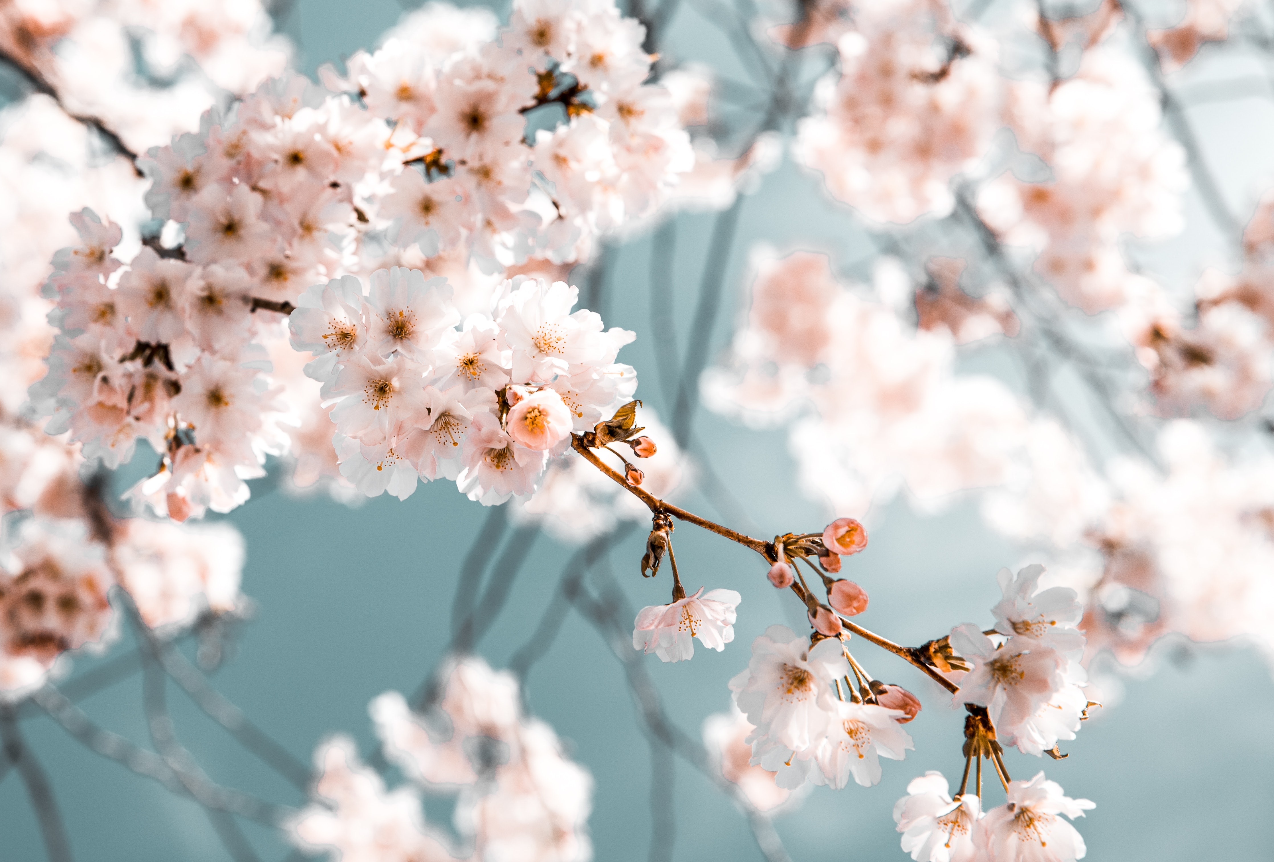 Lexy banner image