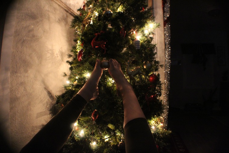 Kelsey B banner image