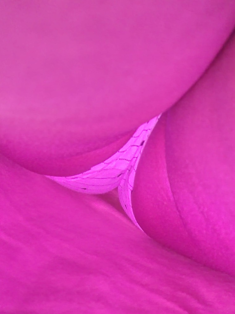 Indianboobs&amp;bums cover image