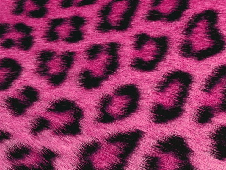 Bunnyfeet banner image