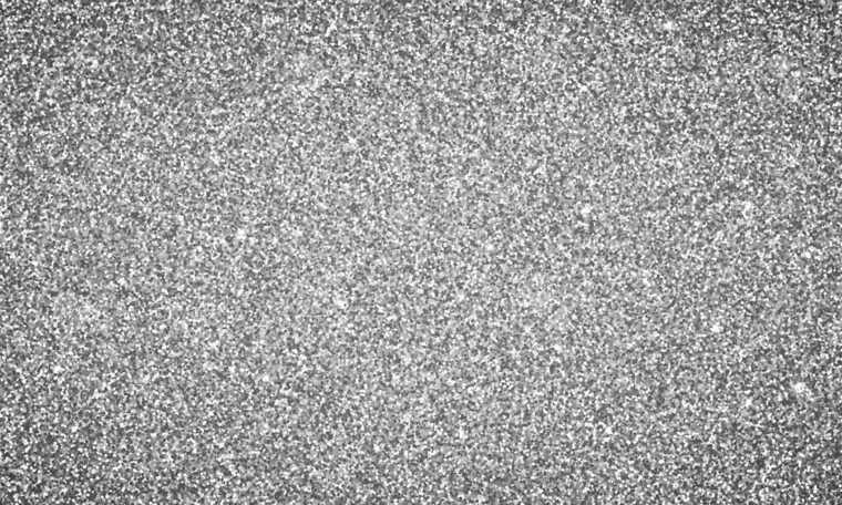 Kels cover image