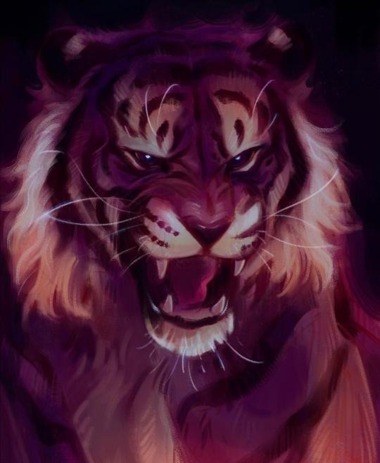Bunsie banner image