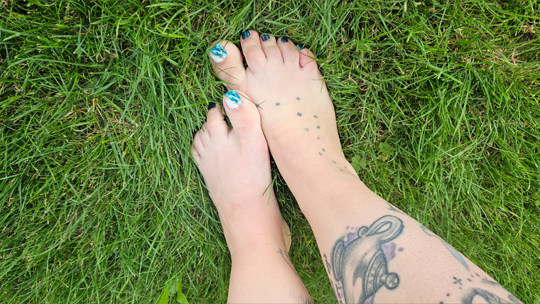 Curvy_Kitty banner image