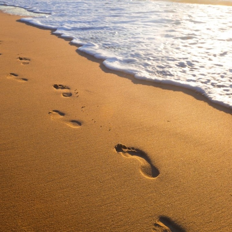 Angie’s Sexy Feet cover image