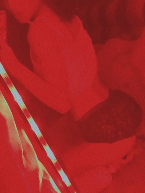 Ana cover image