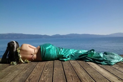 Siren Song cover image