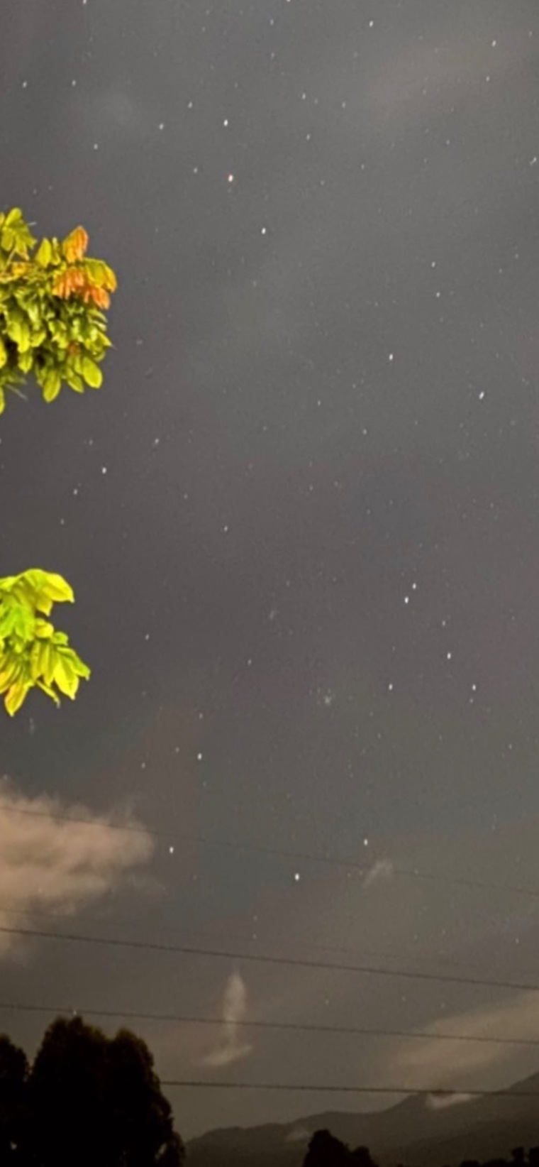 Alejandra cañaveral banner image