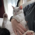 MamasFeet🌶️ avatar