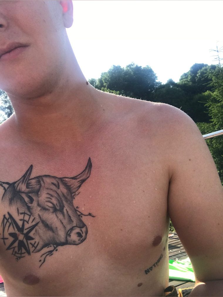 DomeEwans banner image