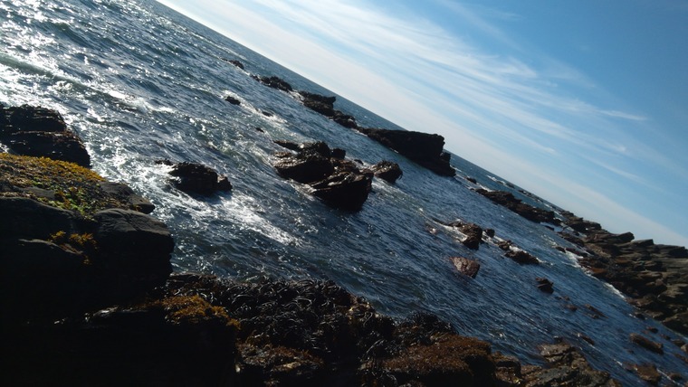 Pedro tttqqq cover image