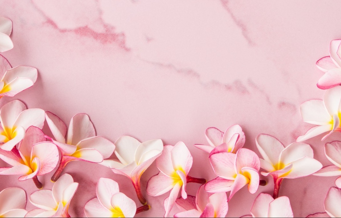 Lisa Elizabeth banner image