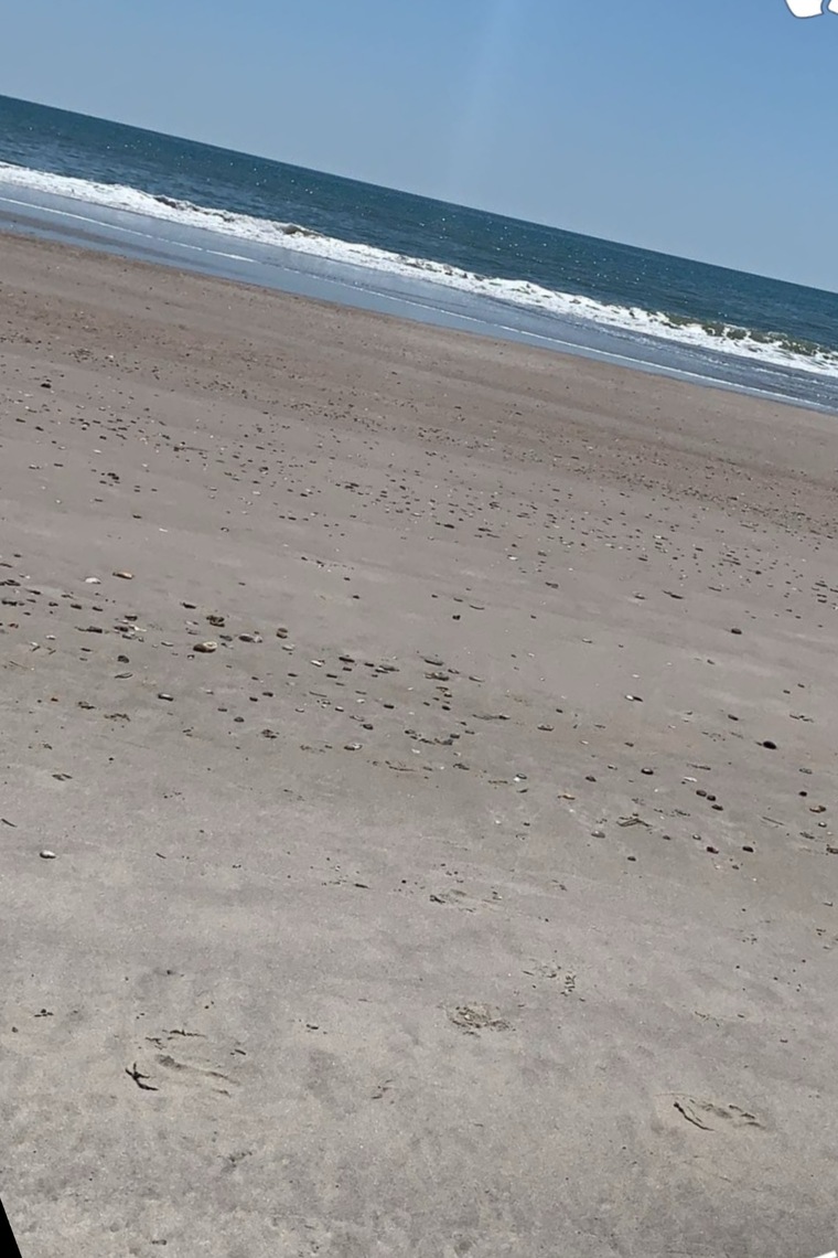 BeachBabe cover image