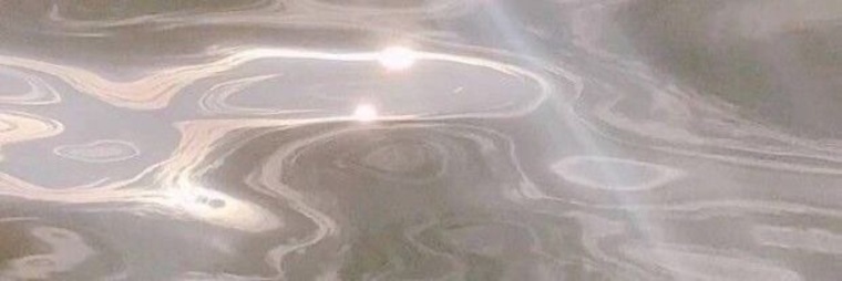 Sweetfoots banner image