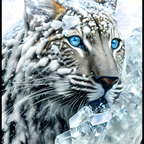 LizaG avatar