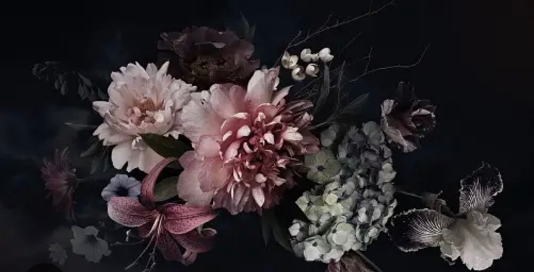 Erin banner image