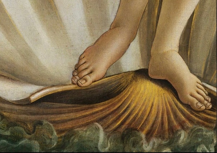 Ilaria banner image