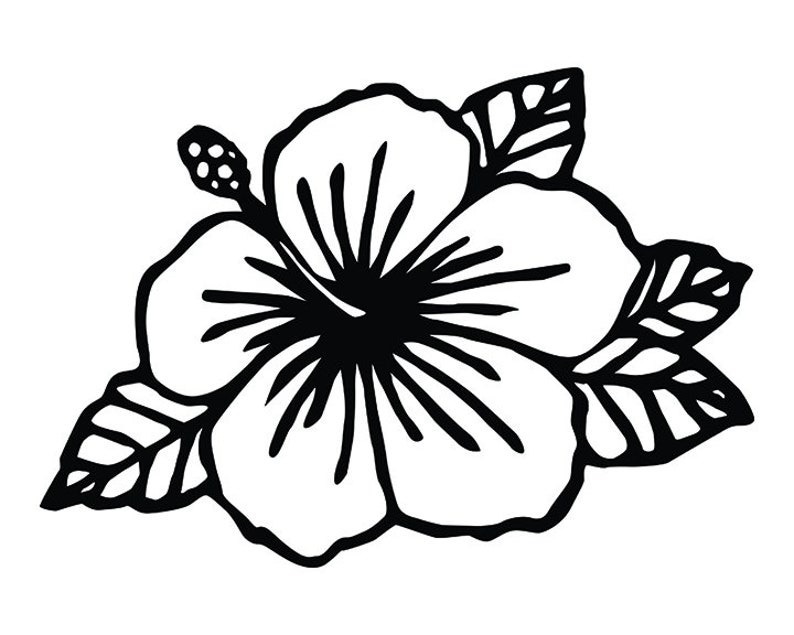 Audrey banner image