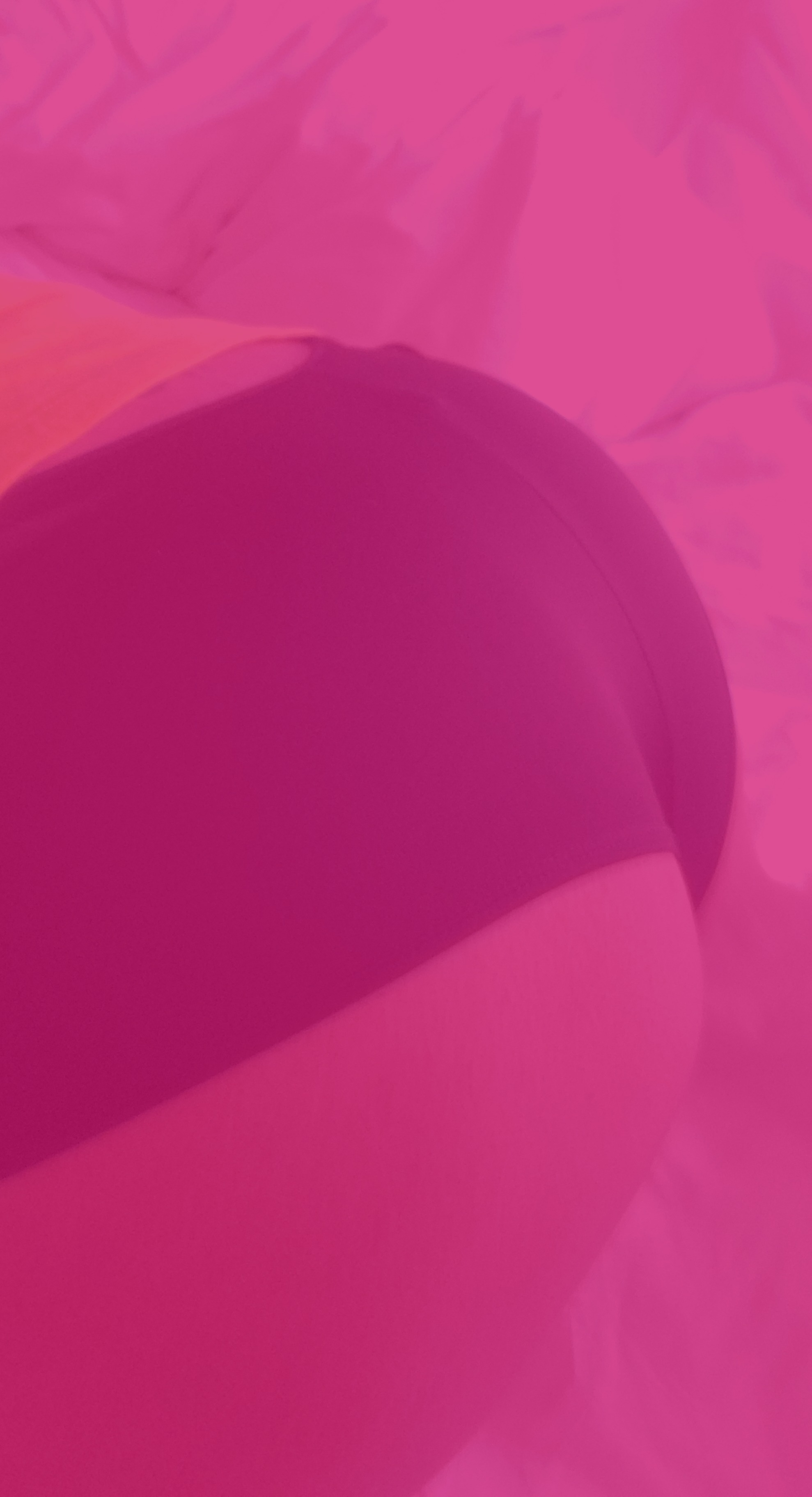Queen Thickums banner image