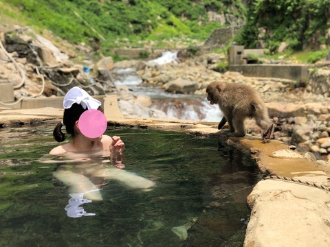 yukkyandmaimai cover image