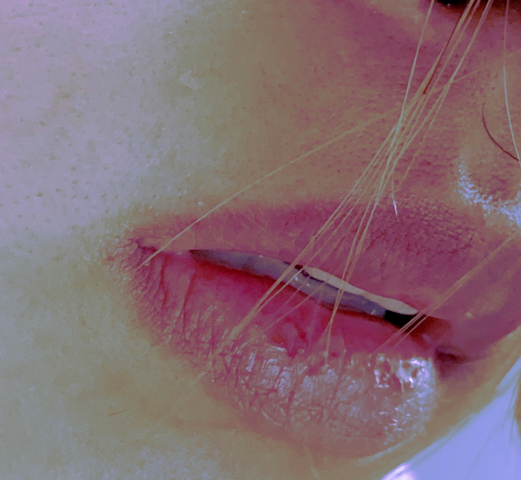 Cami cover image