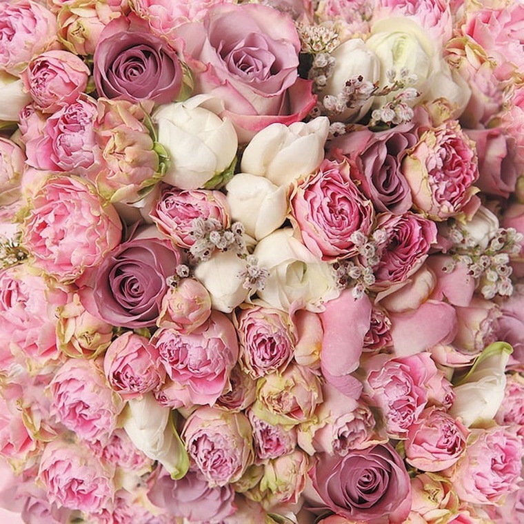 antoinette jarrells banner image