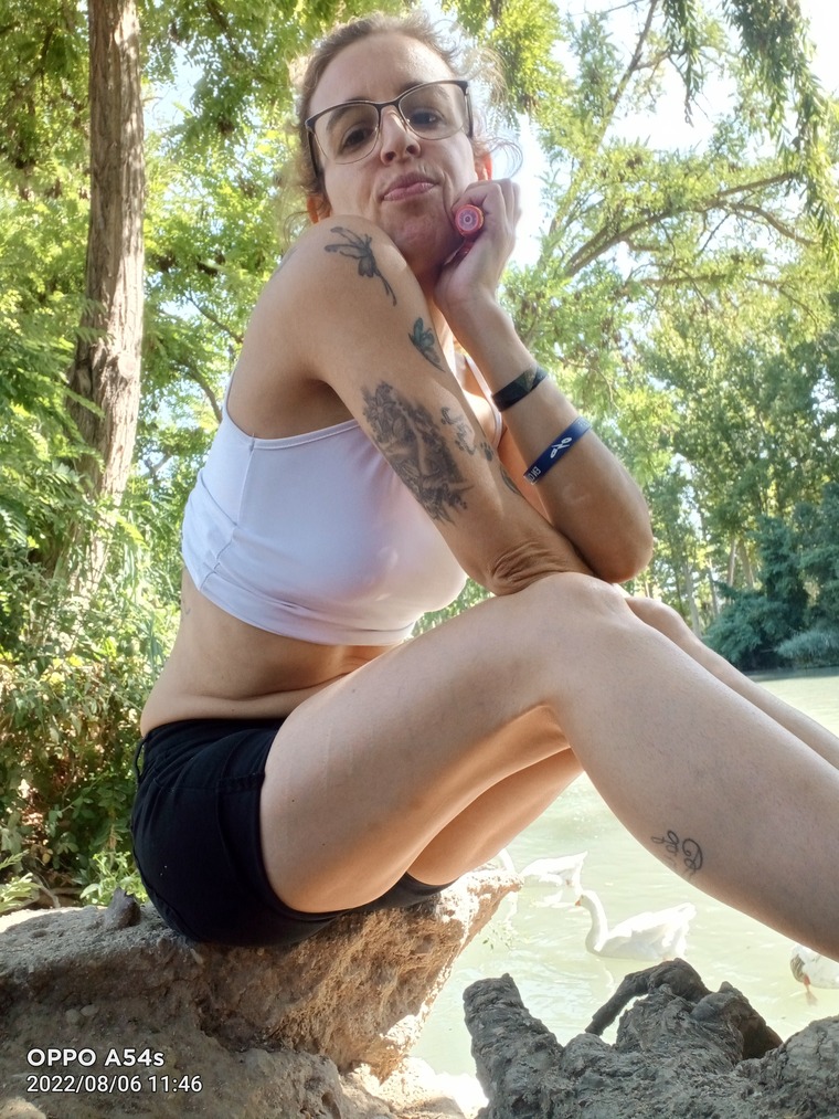 Paty cover image