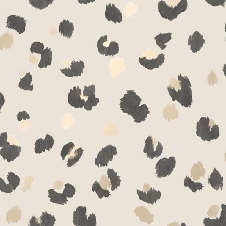 Coco banner image