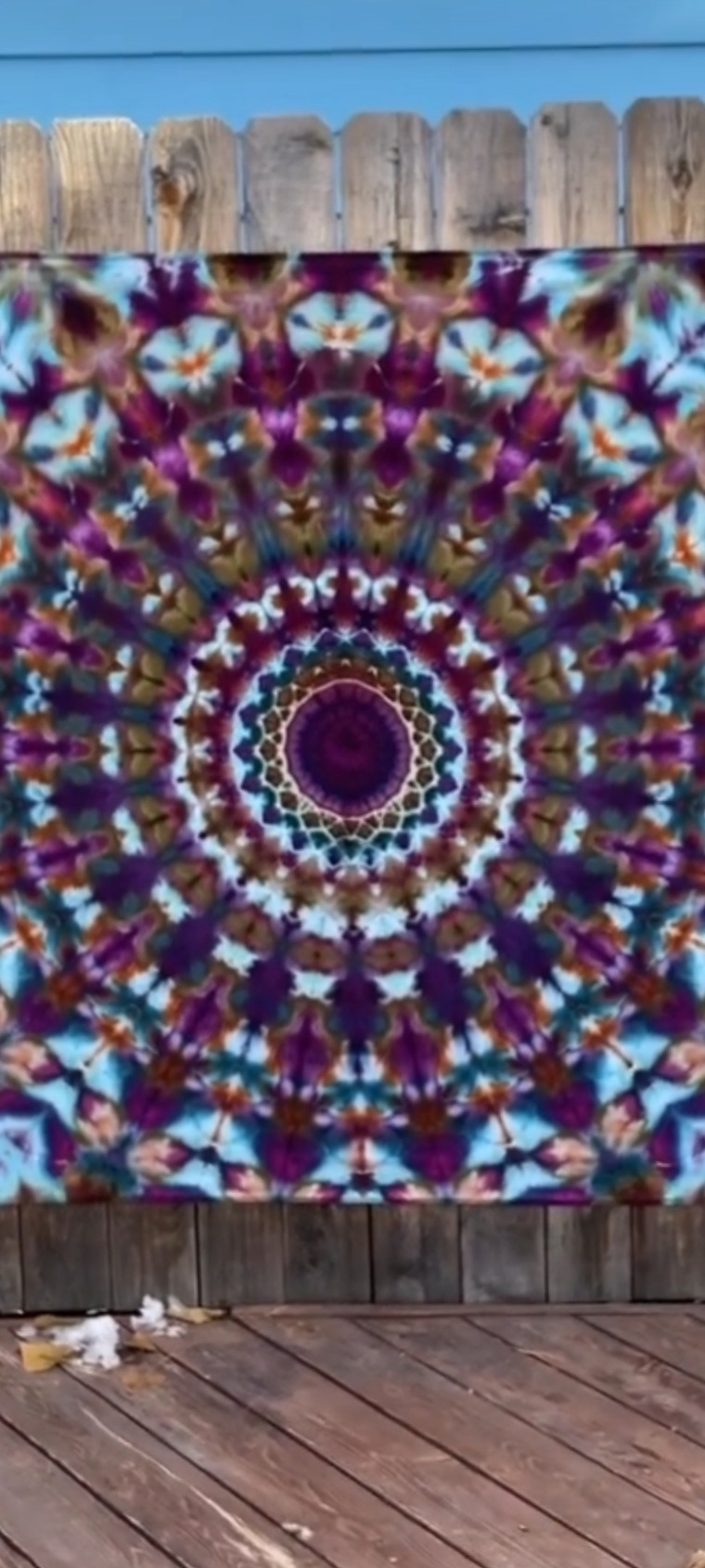 Crazy Daisy cover image
