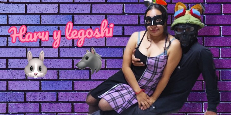 Haru+legoshi cover image