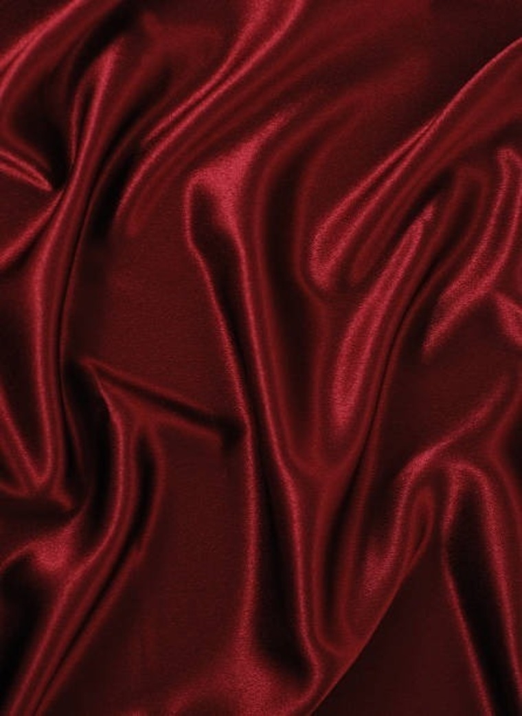 Regina De Santiago cover image