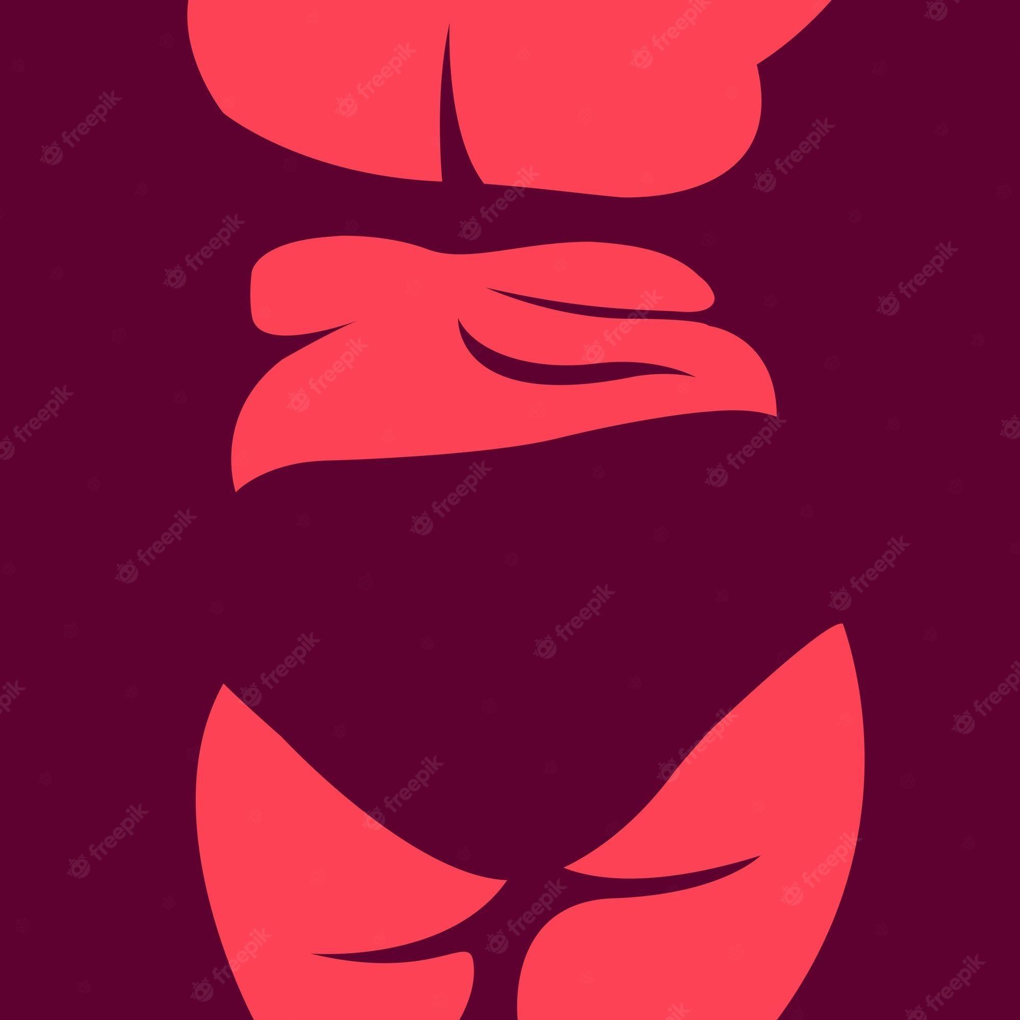 Raquel banner image