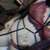 Bigasexhor avatar