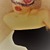 CindyXOXO avatar