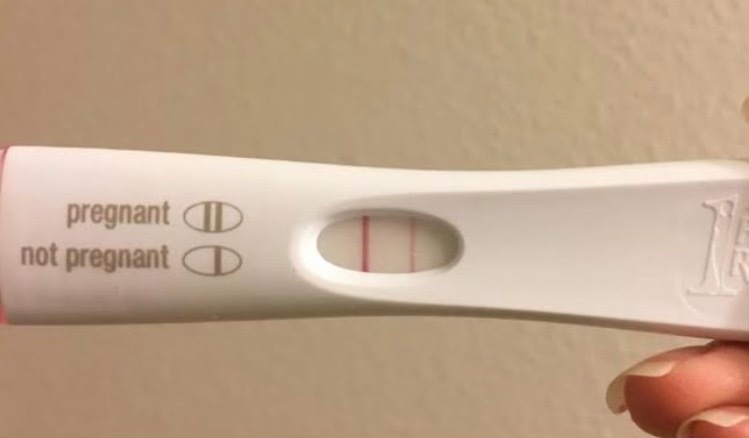 Pregnant Avery- may banner image