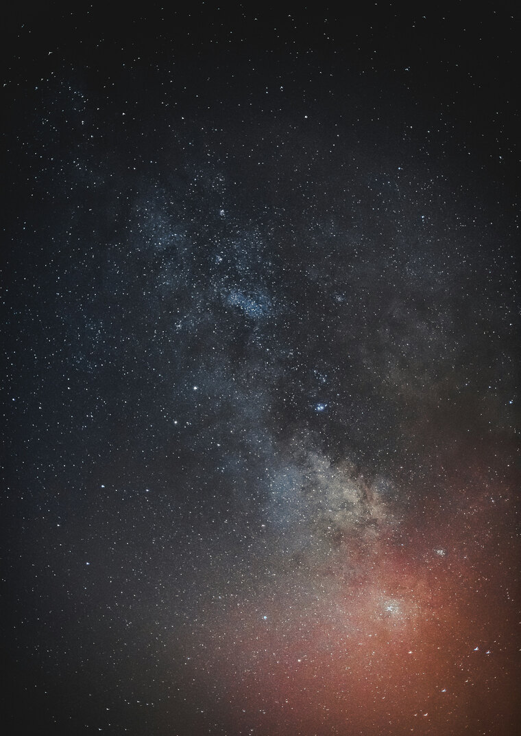 Big Bee cover image