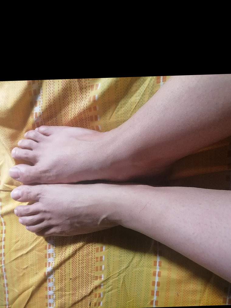 Lu cover image