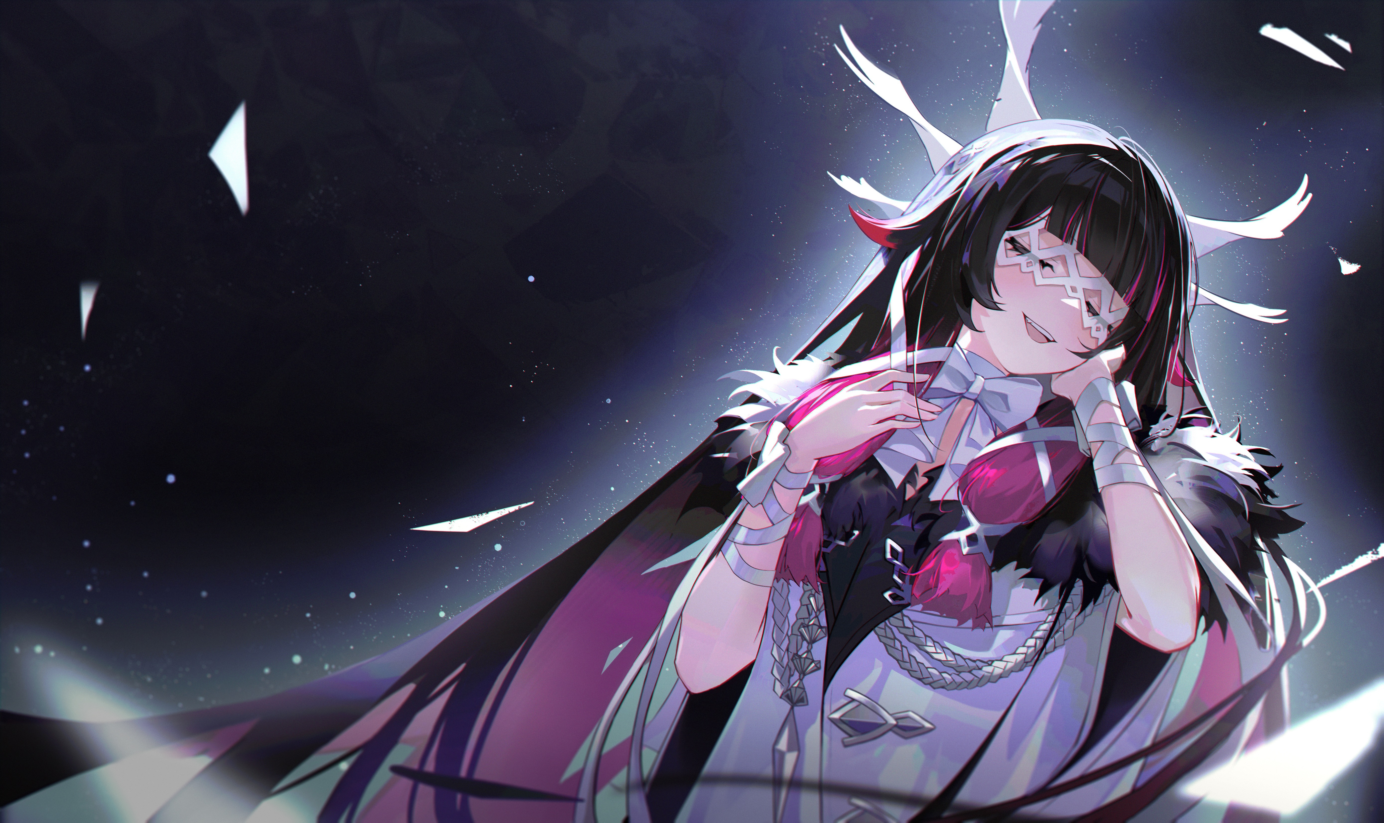 Kissa banner image