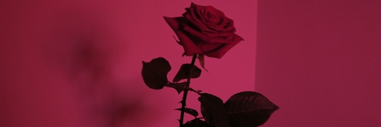 Jay cover image
