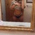 AlyssaRenee avatar