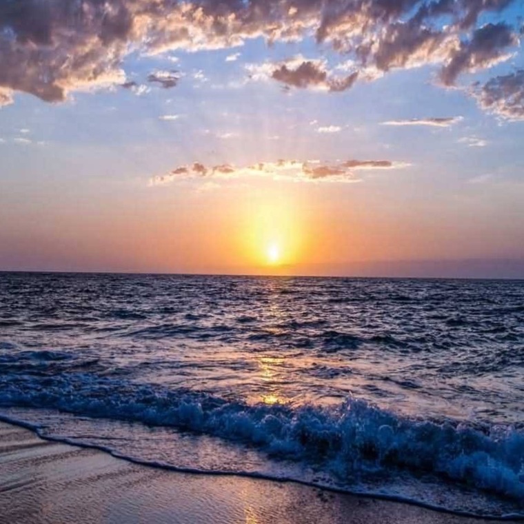 Vicky&amp;Sam cover image