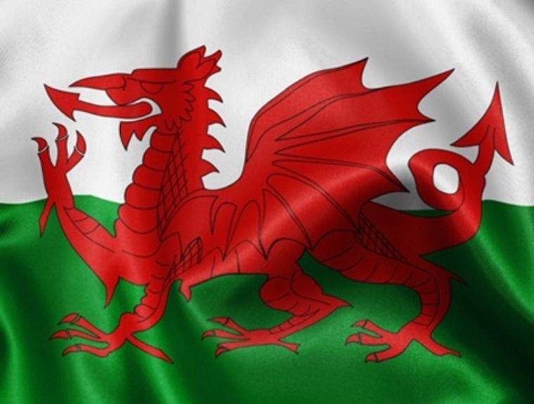 Welshtootsies cover image