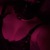 KINKY GIRL 👄 avatar