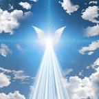 SexyAngel avatar