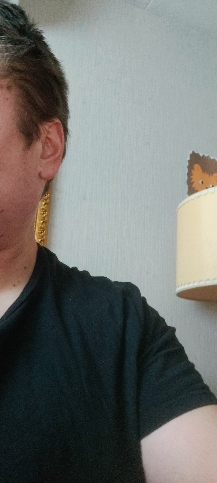 Incredible Humorous Cock Artist banner image