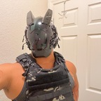Mister Dolfinskin avatar